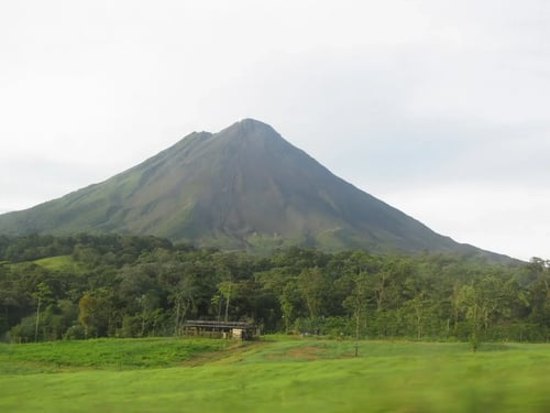 RoleCall Team - Brittney Stepanek 3