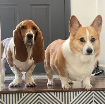 RoleCall Blog Post - Kate Wilson 3