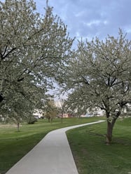 RoleCall Gratitude Blog Post - Stephanie Verdinez Cedar Rapids Photo