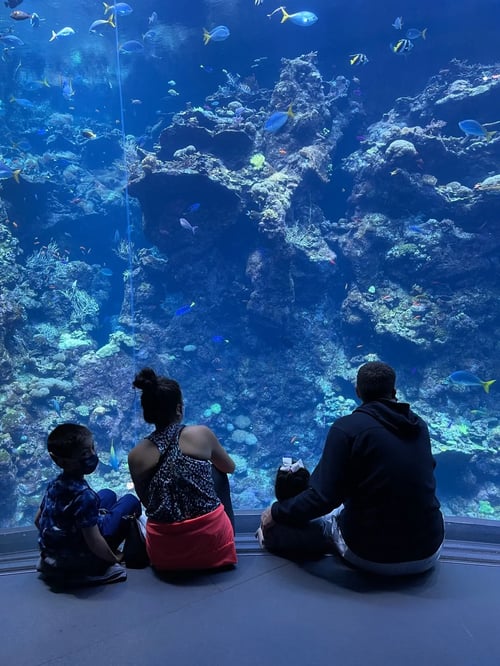 RoleCall Team - Brittney Stepanek 4