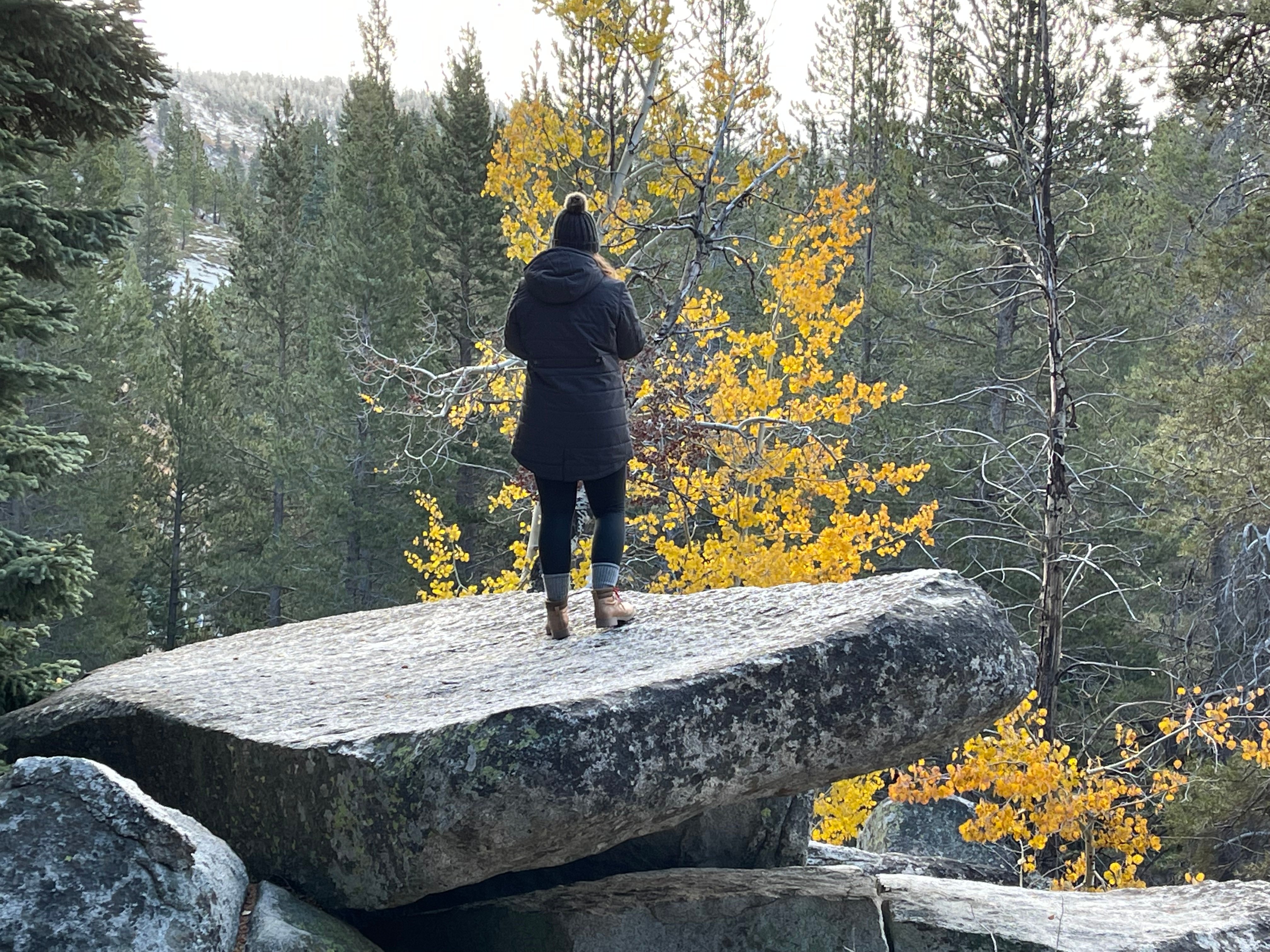 RoleCall Blog Post - Kate Wilson